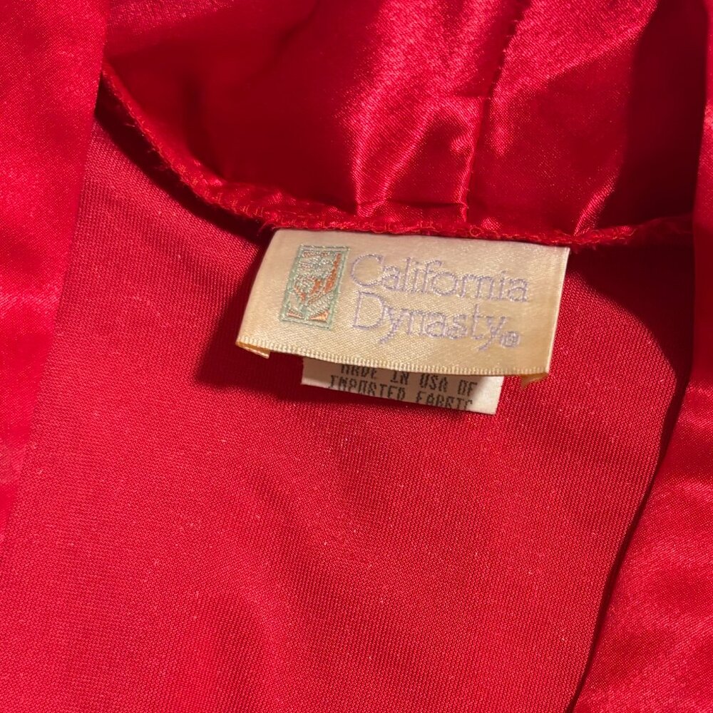 Vintage Velvet Lingerie Set - image 6